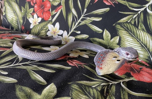 Replica serpente in gomma Cobra - AAA - piccolo - scelta di 4 varietà - Foto 19 di 32