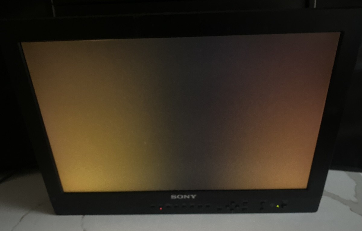 Sony LMD-2030W 20