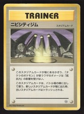 Pewter City Gym Japanese Pokemon Nivi City Gym