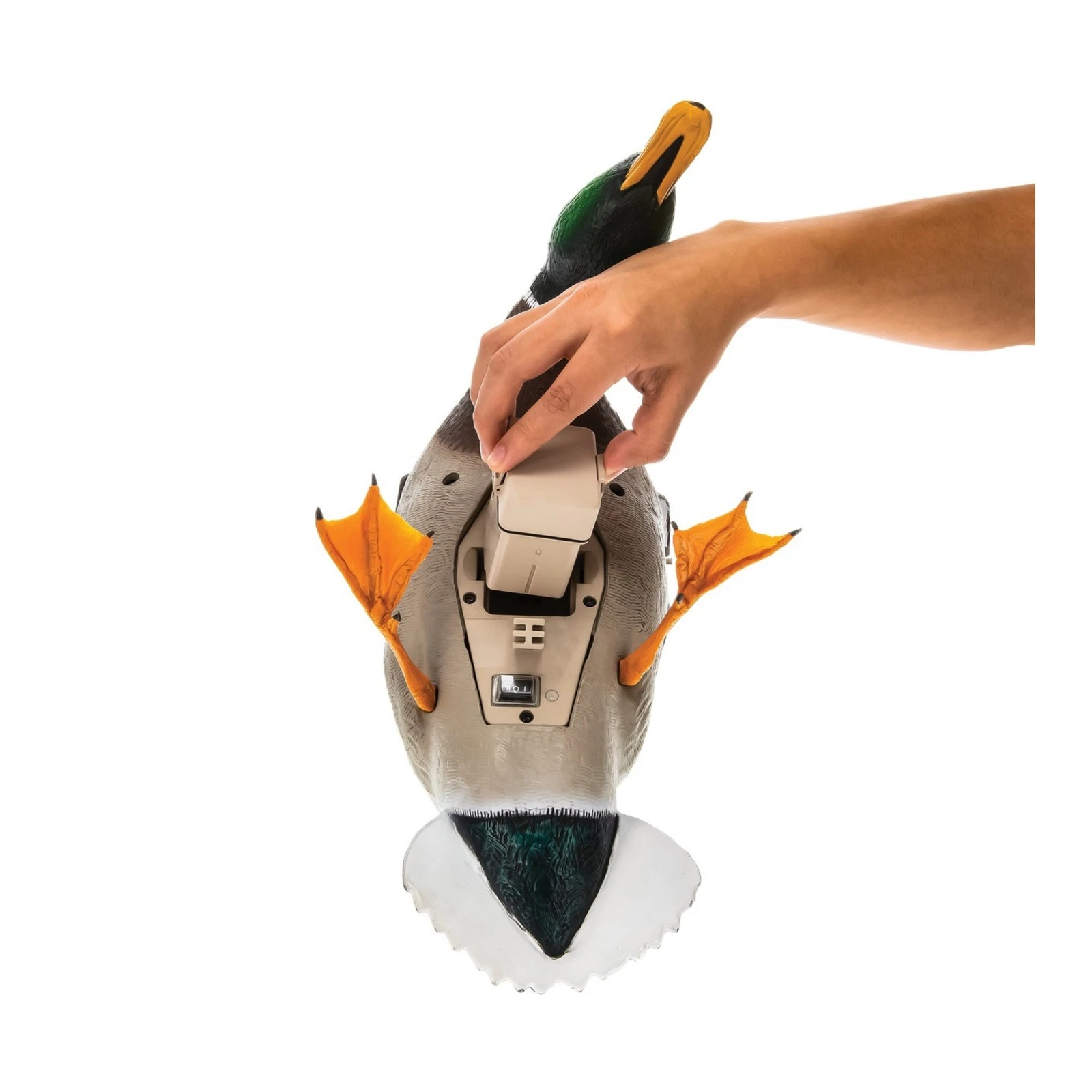 Avian-X Power Flight Mallard - Thumbnail 2