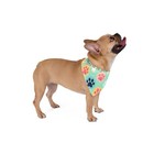 Dog Bandana 27 In — photo 2