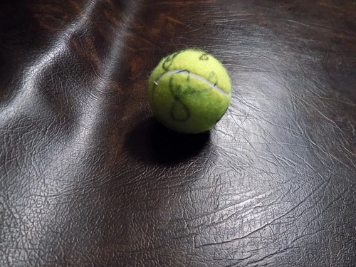 SERENA WILLIAMS & VENUS WILLIAMS AUTOGRAPHED NEW PENN TENNIS BALL W/COA