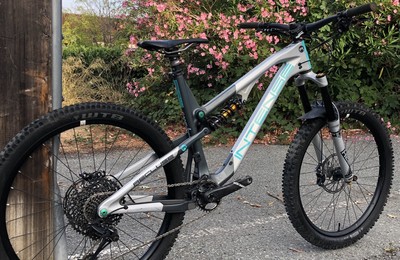 2019 intense recluse