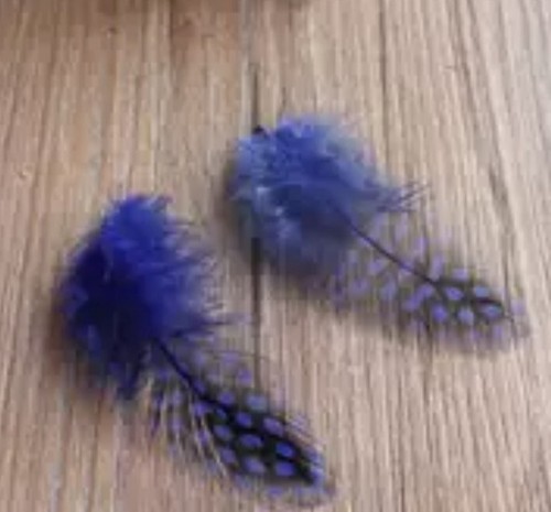 50pcs Guinea Fowl Spotted 5-10cm Feathers 12 Colours DIY Art Craft Party Decor - Picture 12 of 23