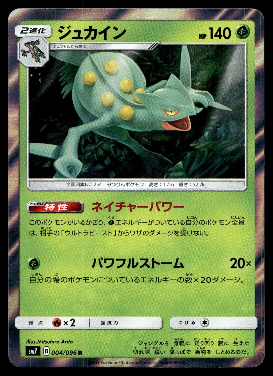 SCEPTILE 004/096 HOLO RARE SKY SPLITTING CHARISMA POKEMON JAPANESE HOLO