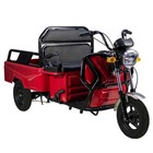 Cargo Compact Elektro Lastenrad Lasten-Dreirad offen, VT5-Mini 25km/h