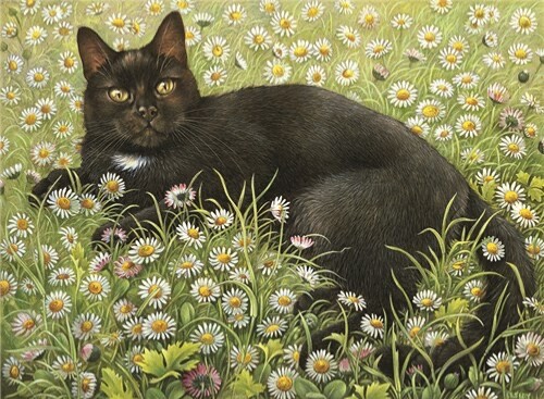 Gabrielle in Daisies - Blank Greeting / Birthday Card - Black Cat Lesley Ivory