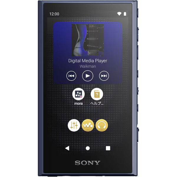 SONY Walkman NW-A306 NW-A307 A300 series memory type Black