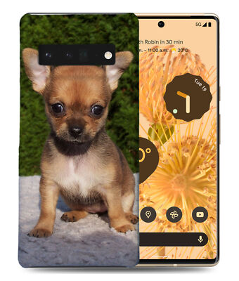 CASE COVER FOR GOOGLE PIXEL|CHIHUAHUA DOG 17