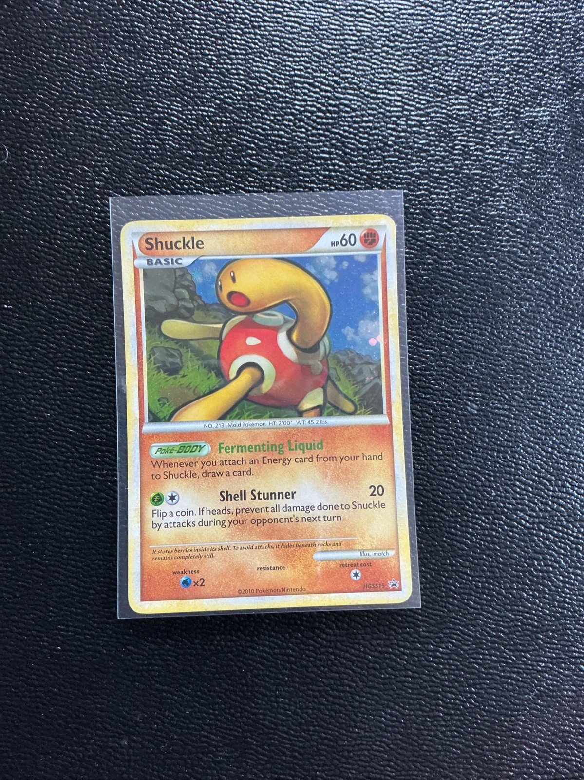Shuckle Pokémon HeartGold & SoulSilver Black Star Promo HGSS15 2010 Cosmos Holo