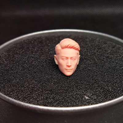 1/24 Scale Chinese Paladin Wallace Huo Head Sculpt Unpainted Fit 2.5'' Figure