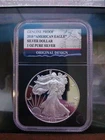 2010 W Proof $1 American Silver Eagle Dollar