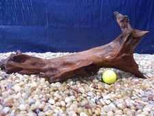 Medium Driftwood 06"x20"x08" Aquarium Terrarium Reptile Natural Art