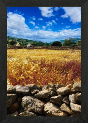 Fields of Gold with ruble walls la gerahmtes Wandbild Poster Leinwanddruck Bild