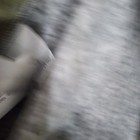 Photo 11/14