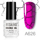 Bild 13 von 26
