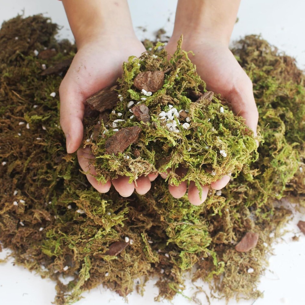6QT Orchid Potting Mix with Moss Pine Bark Mulch Perlite & 6QT, Soil 6QT Orchid Potting Mix with Moss Pine Bark Mulch Perlite & 6QT, Soil