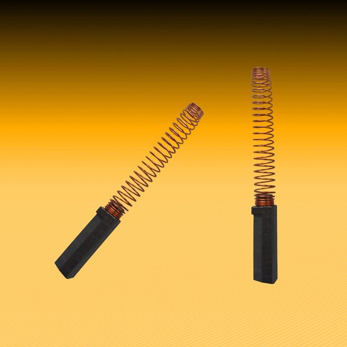 1 Set di Spazzole di Carbonio Carboncino Adatto per AEG