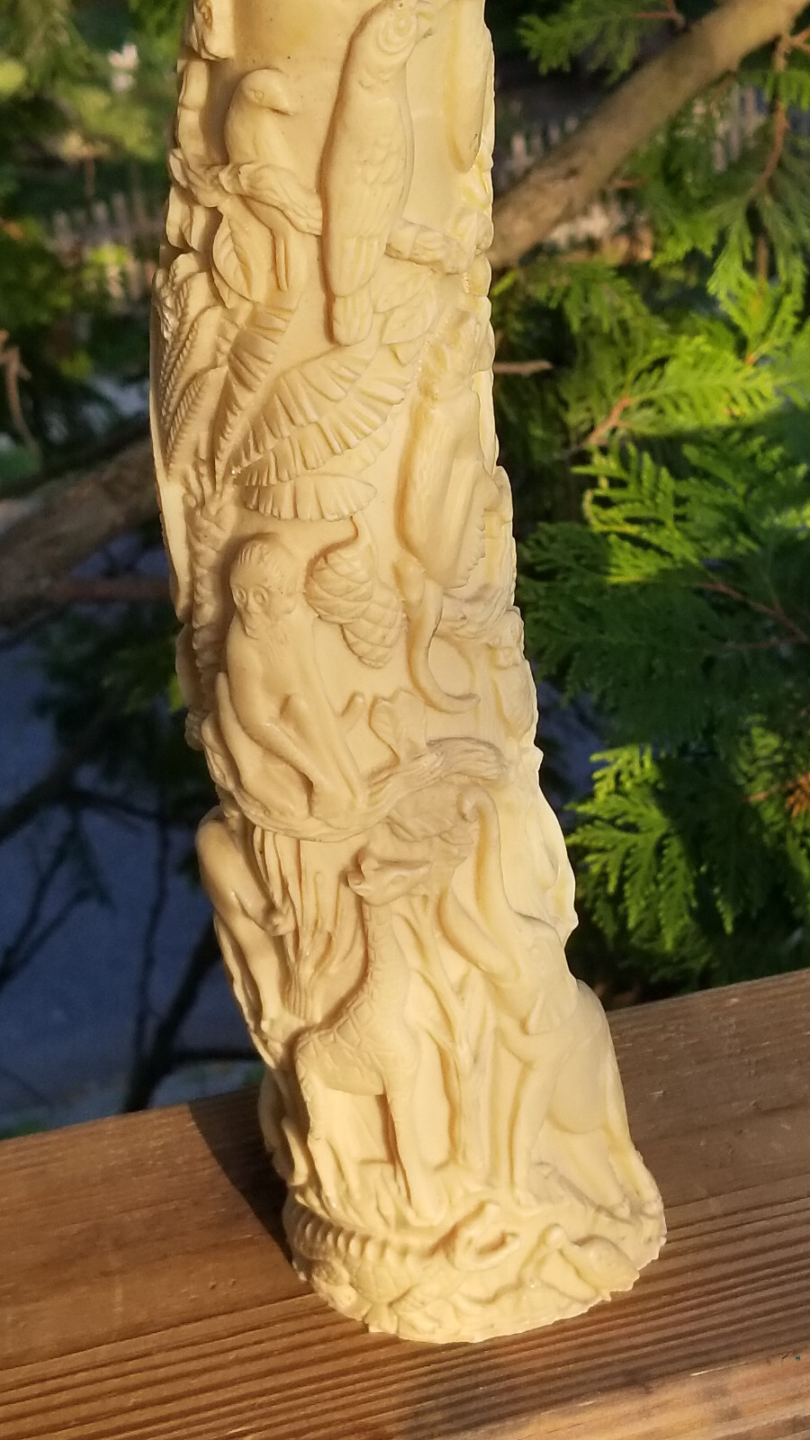 Picture 7 of 19