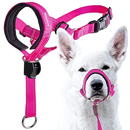 GoodBoy Dog Head Halter with Safety Strap Stops Assorted Sizes , Colors eBay