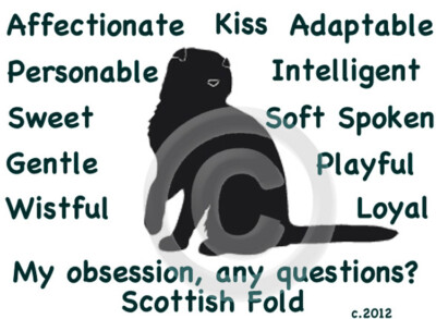 Scottish Fold Cat My Obsession, any questions? Pillow 16 x 16  free ship