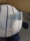 Foto 8 di 8
