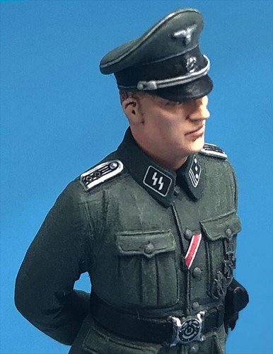 Passion Models P35D-008 1/35 German Elite Unit INSIGNIA Decal set - Picture 4 of 8