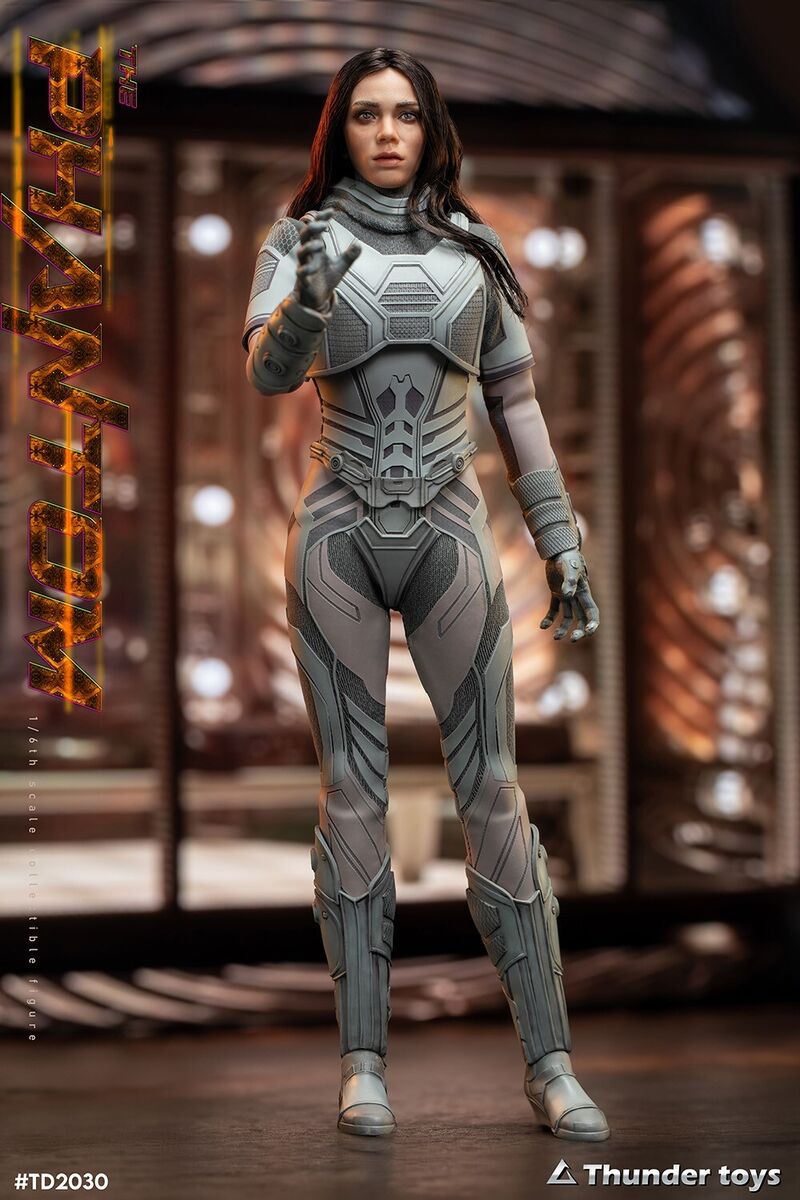New Thunder Toys TD2030 1/6 The Phantom Action Figure New Thunder Toys TD2030 1/6 The Phantom Action Figure