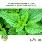 Foto 2 di 12