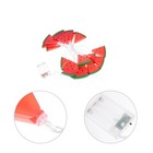 String Lights for Bedroom Led Decorative Watermelon Shaped Lamp