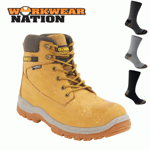 dewalt titanium honey