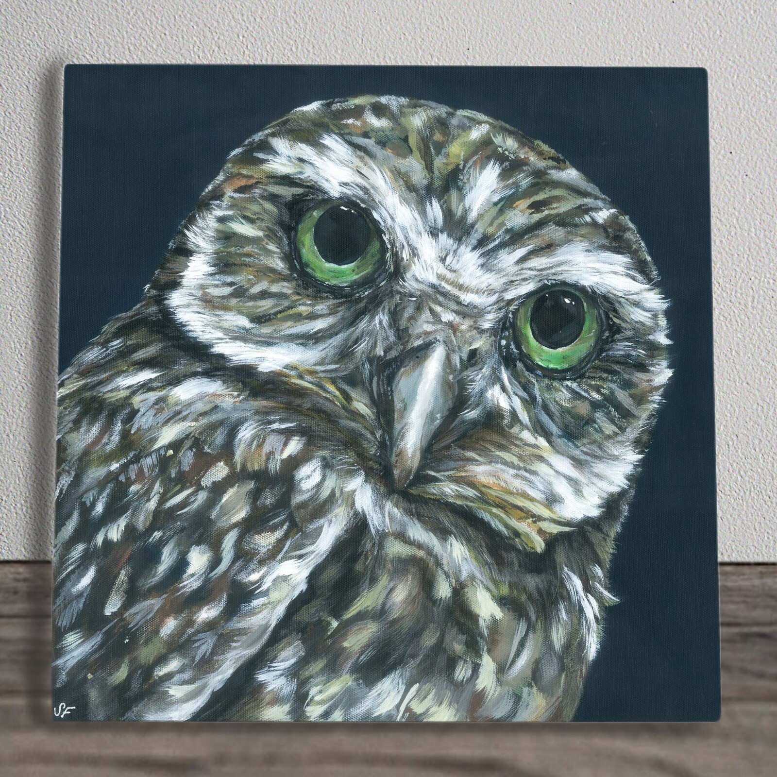 Twit Owl Ceramic Tile Picture Plaque Quirky Sign By Sam Fenner 20x20cm