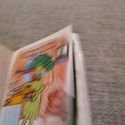 Bild 12 von 12