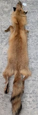 Tanned Eastern RED Fox pelt~Nice Fur No 2 Pelt~ Cabin Craft~Soft Hide