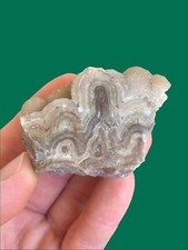 Lace Agate With Crystals. Rocks Crystals Minerals Gemstones