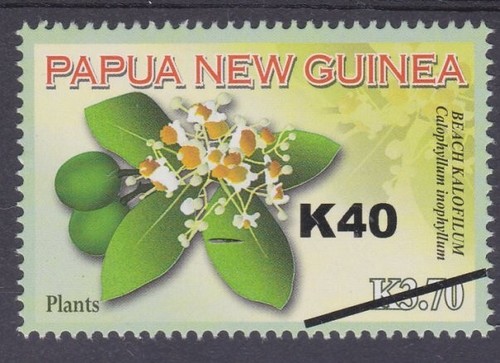 PAPUA NEW GUINEA 2015 K40 on K3.70 Beach Calofilum MNH.....................B7533