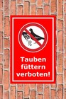 Bild 5 von 5