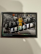 2024-25 Panini Noir Lebron James Feature Length Metal Frame /25 Lakers SP NBA