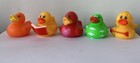 CUTE RUBBER DUCKS SET OF 5