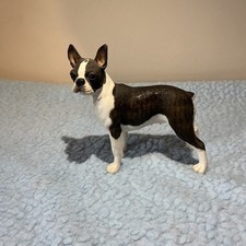 Boston Terrier Brindle