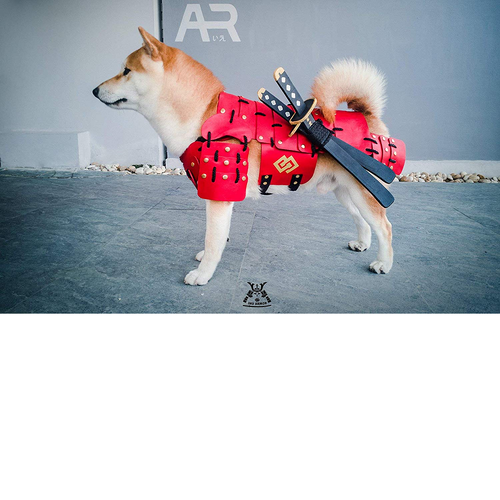 japanese dog costume