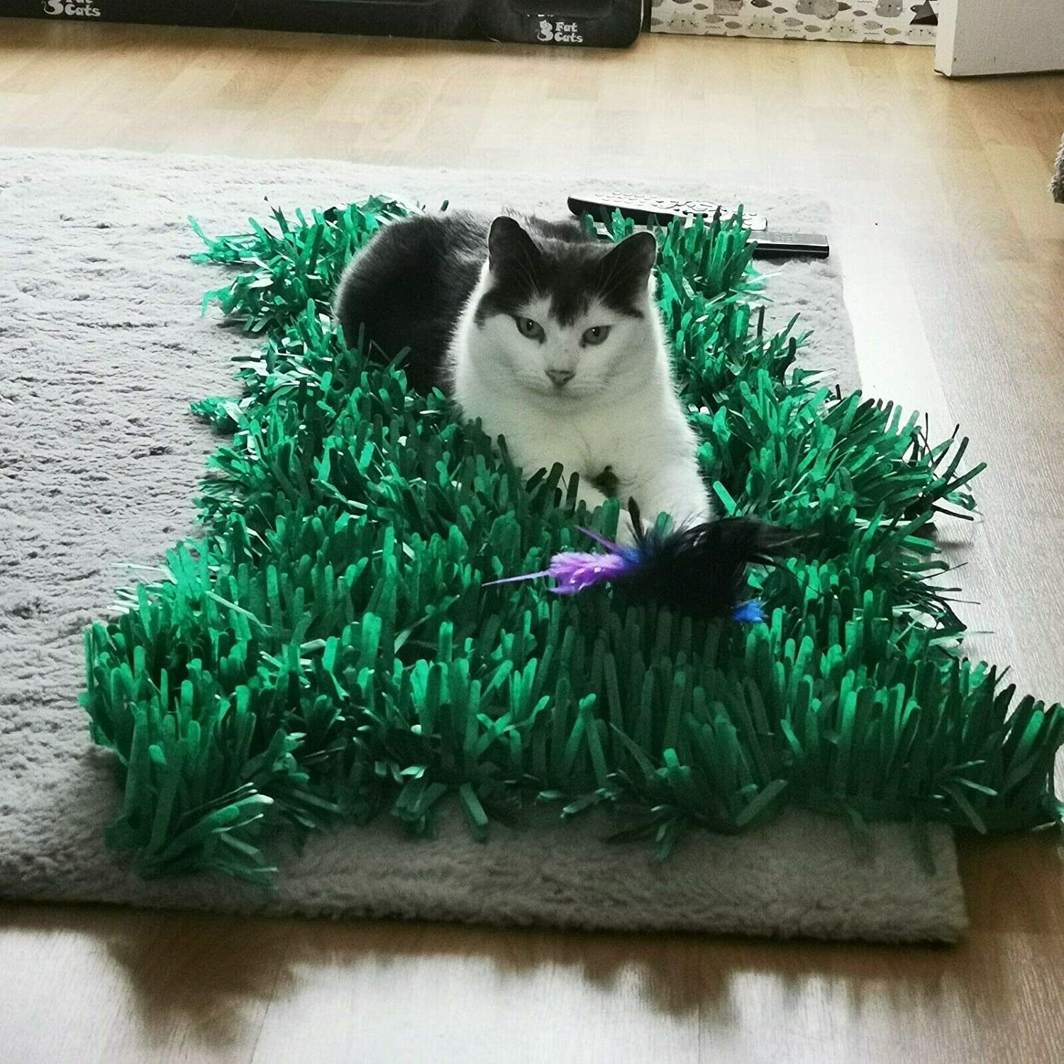 grass pad for cats