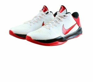 lebron low roadrunner