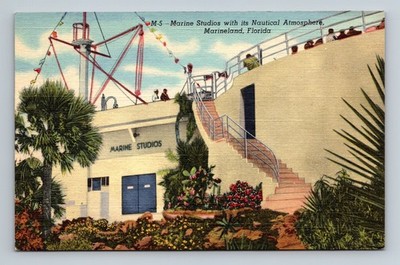 Marine Studios Oceanarium Exhibit Marineland,FL Flagler County Vintage Postcard