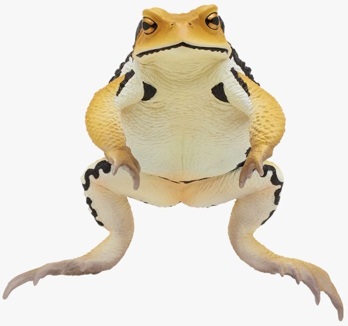 ★Toad★ s-l1200.jpg