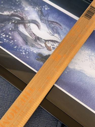 Aquaman Signed Print From The Depths Purchased At Mega Con Unique Size (Ut) - Picture 9 of 9