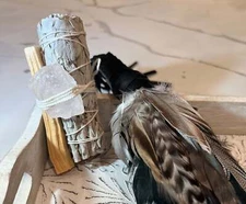 Sage With Rose Quartz And Palo Santo | Smudging Directions Included