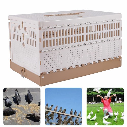 good and bad hamster cages
