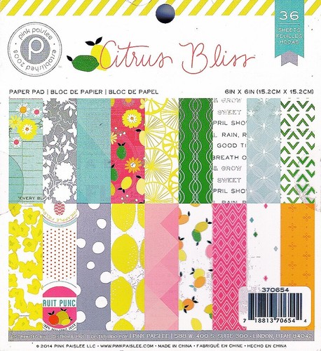 Rosa Paisley, Zitrus Glückseligkeit Papier Block, 6" Cardstock, 36 Pgs, Happy, Ananas - Bild 3 von 15