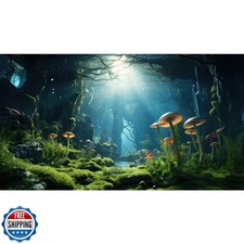 Forest Mushroom Aquarium Background Underwater Stream Fish Tank Background Tr